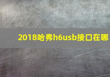 2018哈弗h6usb接口在哪