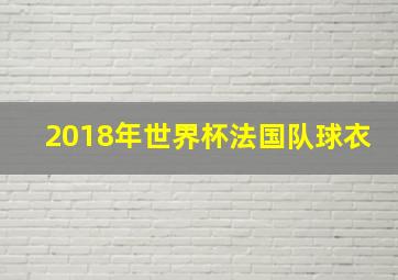 2018年世界杯法国队球衣