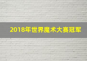 2018年世界魔术大赛冠军