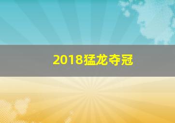 2018猛龙夺冠