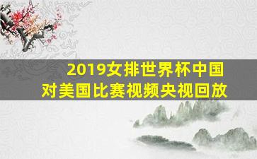 2019女排世界杯中国对美国比赛视频央视回放