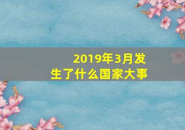 2019年3月发生了什么国家大事