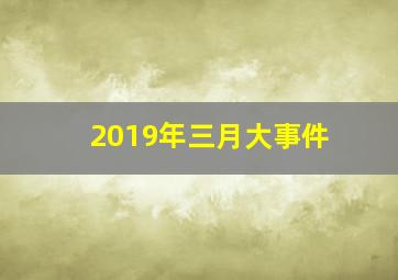 2019年三月大事件