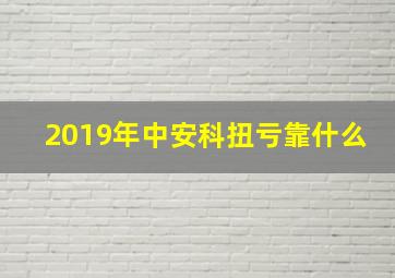 2019年中安科扭亏靠什么