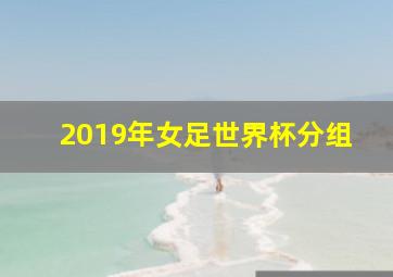 2019年女足世界杯分组