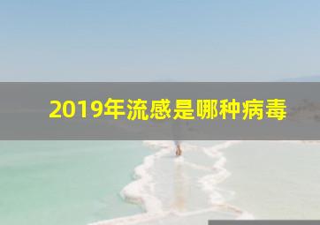 2019年流感是哪种病毒