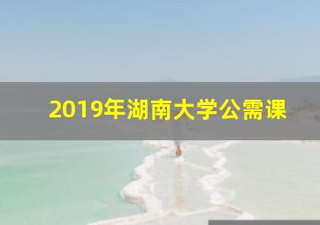 2019年湖南大学公需课