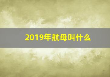 2019年航母叫什么