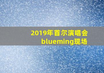 2019年首尔演唱会blueming现场