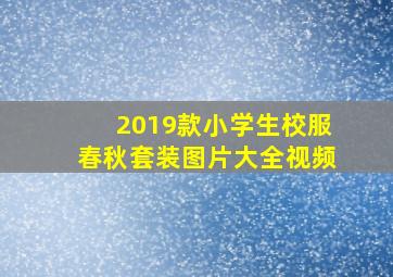 2019款小学生校服春秋套装图片大全视频