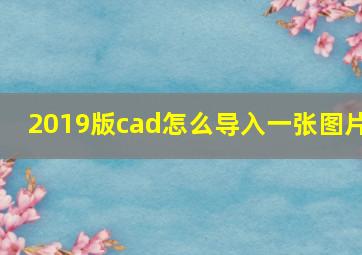 2019版cad怎么导入一张图片