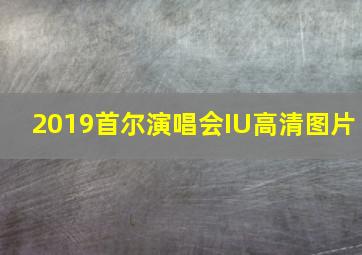 2019首尔演唱会IU高清图片