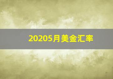 20205月美金汇率