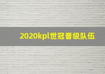 2020kpl世冠晋级队伍