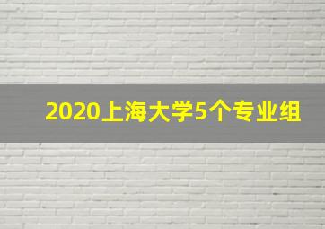 2020上海大学5个专业组