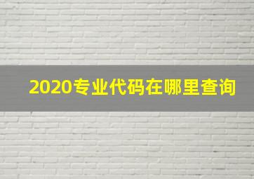 2020专业代码在哪里查询