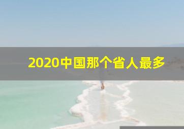 2020中国那个省人最多