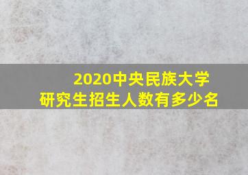 2020中央民族大学研究生招生人数有多少名