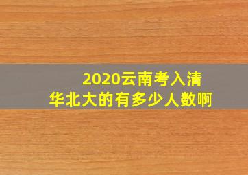 2020云南考入清华北大的有多少人数啊