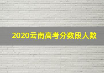 2020云南高考分数段人数