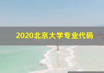 2020北京大学专业代码