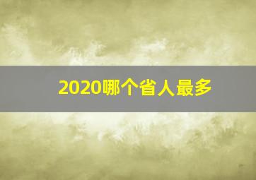 2020哪个省人最多