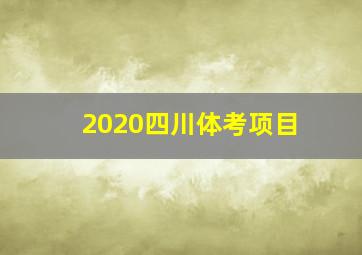 2020四川体考项目