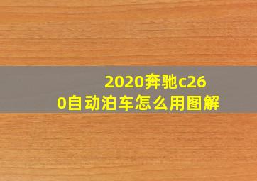 2020奔驰c260自动泊车怎么用图解