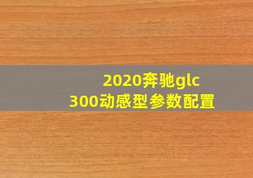 2020奔驰glc300动感型参数配置