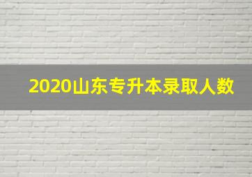 2020山东专升本录取人数