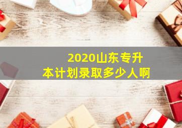 2020山东专升本计划录取多少人啊