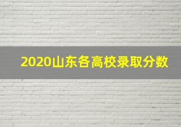 2020山东各高校录取分数