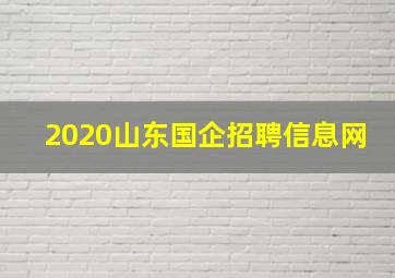 2020山东国企招聘信息网