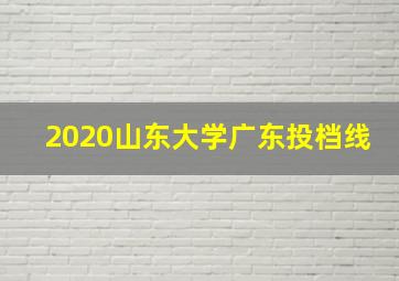 2020山东大学广东投档线