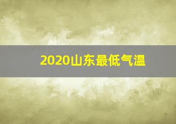 2020山东最低气温