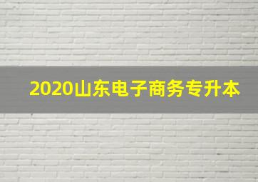 2020山东电子商务专升本