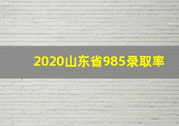 2020山东省985录取率