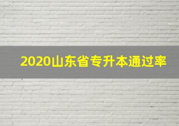 2020山东省专升本通过率