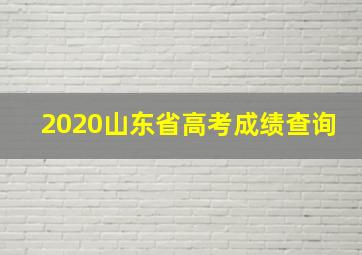 2020山东省高考成绩查询