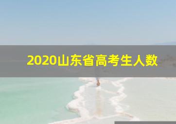 2020山东省高考生人数