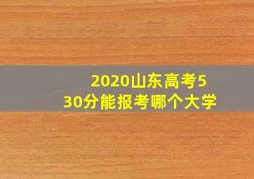 2020山东高考530分能报考哪个大学