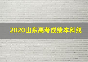 2020山东高考成绩本科线