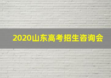 2020山东高考招生咨询会