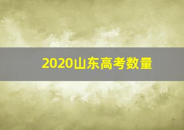 2020山东高考数量