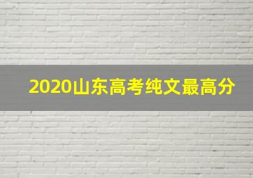 2020山东高考纯文最高分