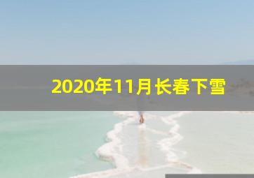 2020年11月长春下雪