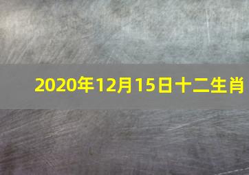 2020年12月15日十二生肖