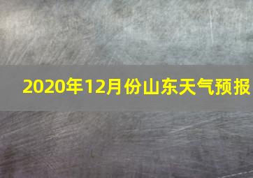 2020年12月份山东天气预报