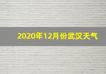 2020年12月份武汉天气