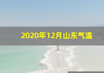 2020年12月山东气温